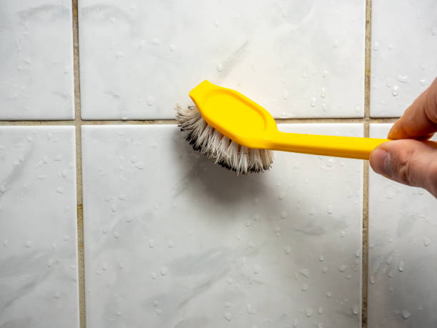 Best Attic Mold Removal  in Lacoochee, FL