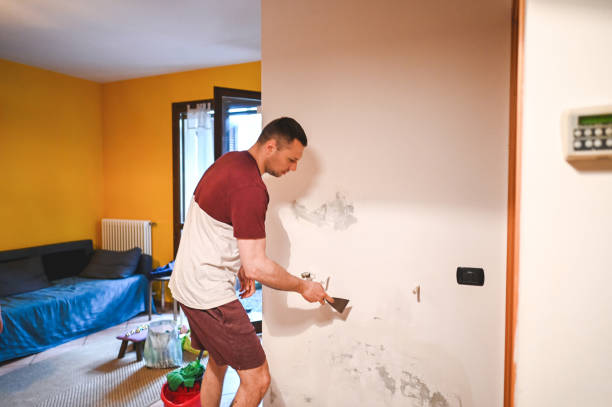 Best Certified Mold Removal  in Lacoochee, FL